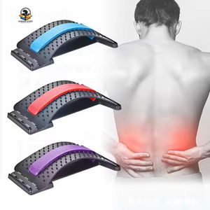 Civière dorsale orthopédique